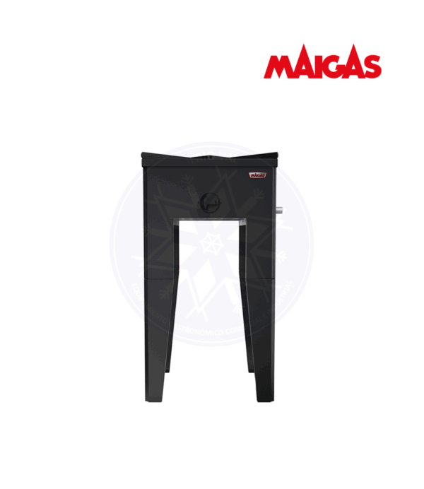 Anafe 1 Plato Alto Maigas - Imagen 3