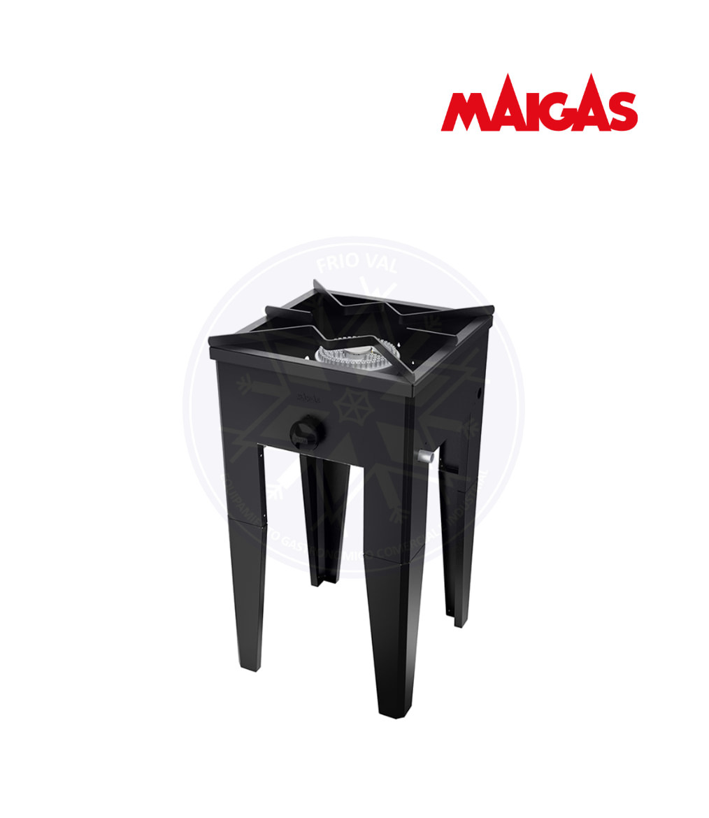 Anafe 1 Plato Alto Maigas