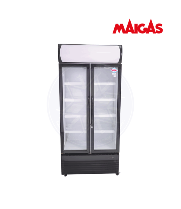 Visicooler 600 lt Maigas - Imagen 3