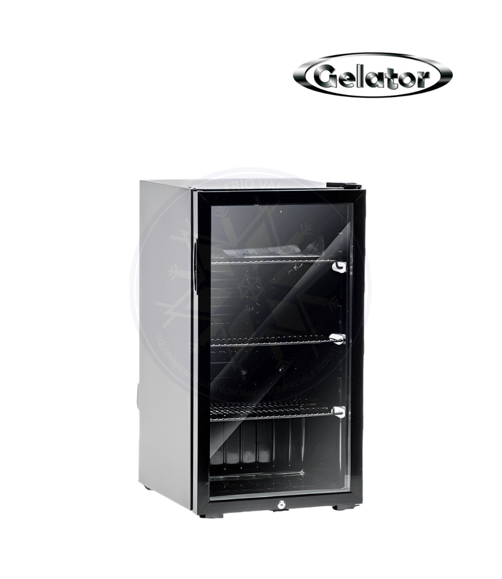 Visicooler 100 lt Gelator